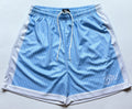 Pinstripe Blue Mesh Shorts