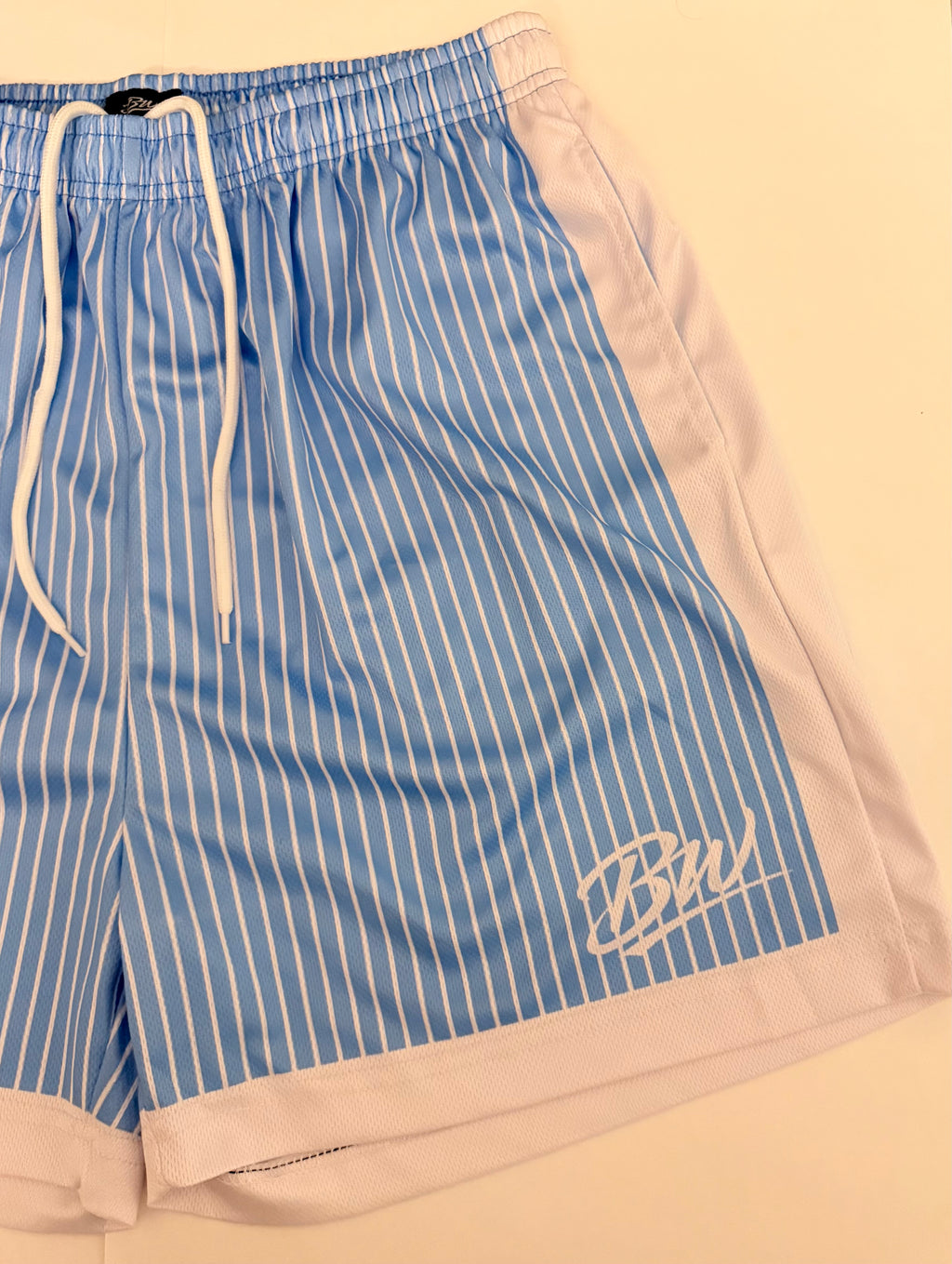 Pinstripe Blue Mesh Shorts
