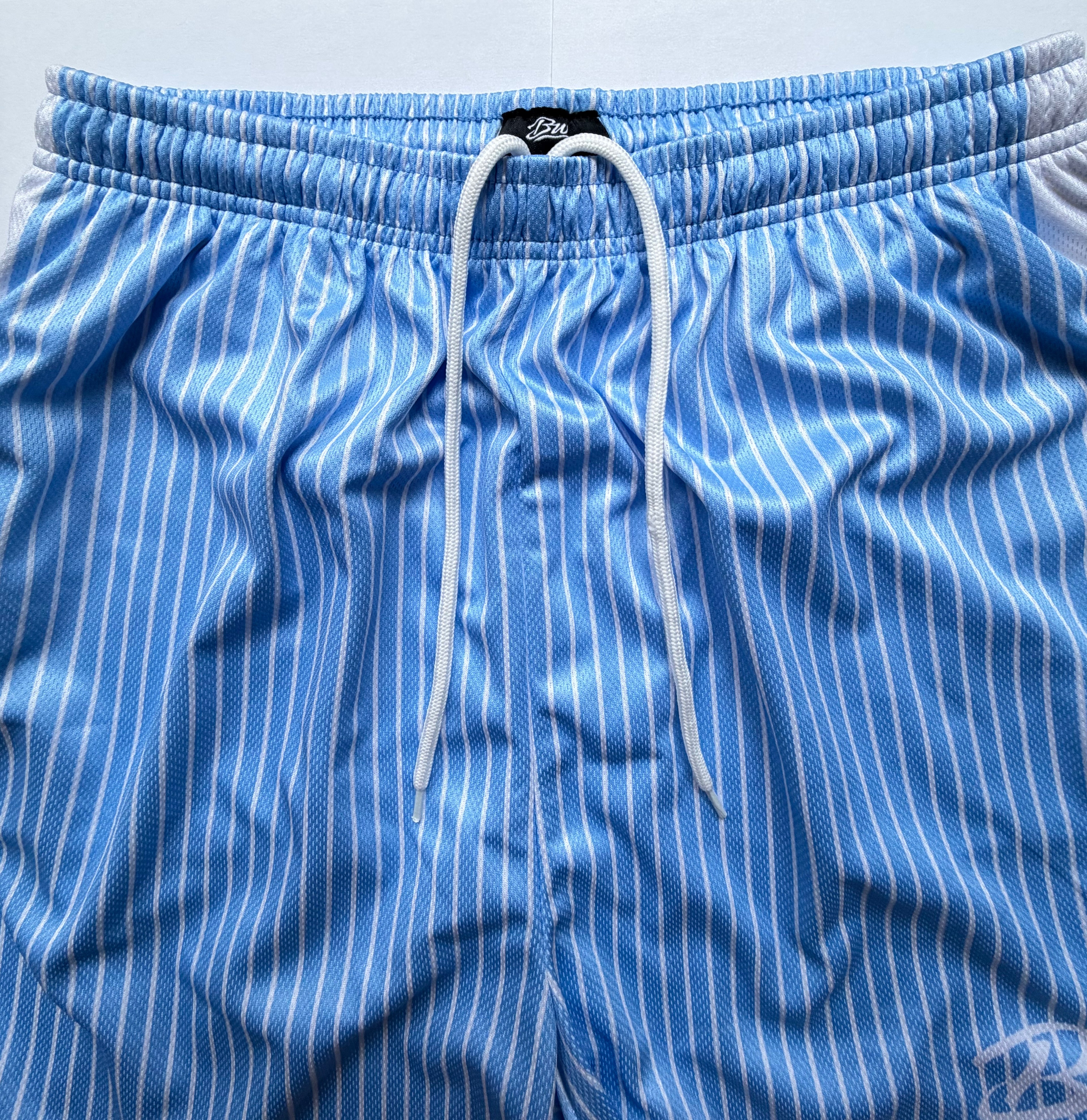 Pinstripe Blue Mesh Shorts